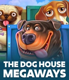 The Dog House Megaways